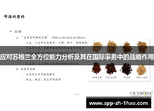 应对苏格兰全方位能力分析及其在国际事务中的战略作用