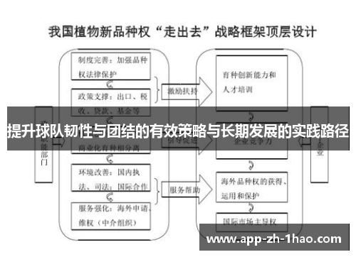 提升球队韧性与团结的有效策略与长期发展的实践路径