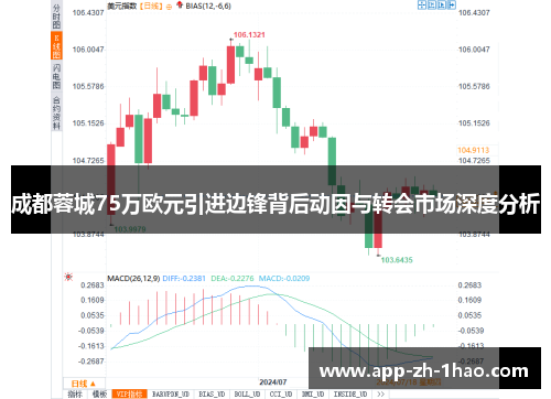 成都蓉城75万欧元引进边锋背后动因与转会市场深度分析