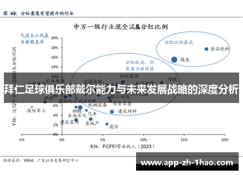 拜仁足球俱乐部戴尔能力与未来发展战略的深度分析 拜仁足球俱乐部戴尔能力与未来发展战略的深度分析