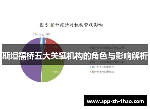 斯坦福桥五大关键机构的角色与影响解析