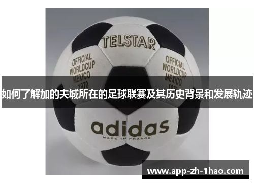 如何了解加的夫城所在的足球联赛及其历史背景和发展轨迹 如何了解加的夫城所在的足球联赛及其历史背景和发展轨迹