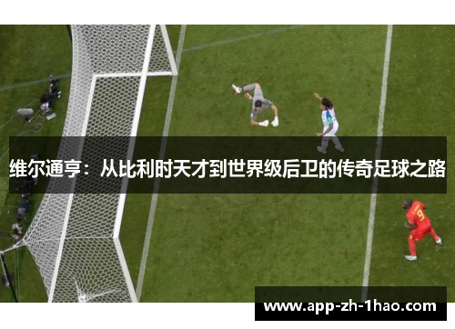 维尔通亨：从比利时天才到世界级后卫的传奇足球之路