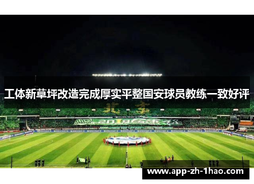 工体新草坪改造完成厚实平整国安球员教练一致好评