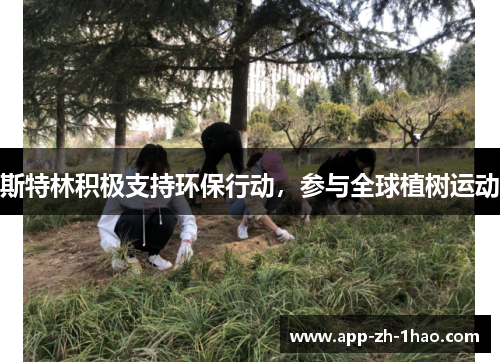斯特林积极支持环保行动,参与全球植树运动 斯特林积极支持环保行动,参与全球植树运动