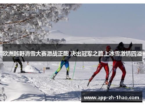 欧洲越野滑雪大赛激战正酣 决出冠军之路上冰雪激情四溢 欧洲越野滑雪大赛激战正酣 决出冠军之路上冰雪激情四溢