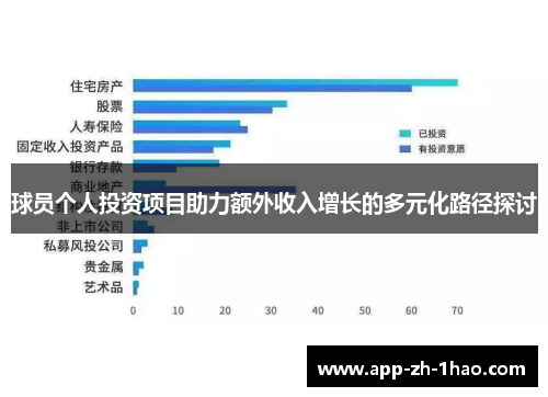 球员个人投资项目助力额外收入增长的多元化路径探讨