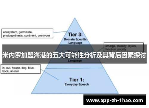 米内罗加盟海港的五大可能性分析及其背后因素探讨
