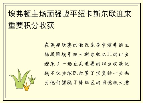 埃弗顿主场顽强战平纽卡斯尔联迎来重要积分收获